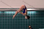 Women's Diving  Wheaton College Women’s Diving vs Mount Holyoke College. - Photo by Keith Nordstrom : Wheaton, Swimming & Diving